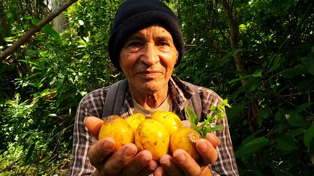 S01:E08 - The Maya Food Forest