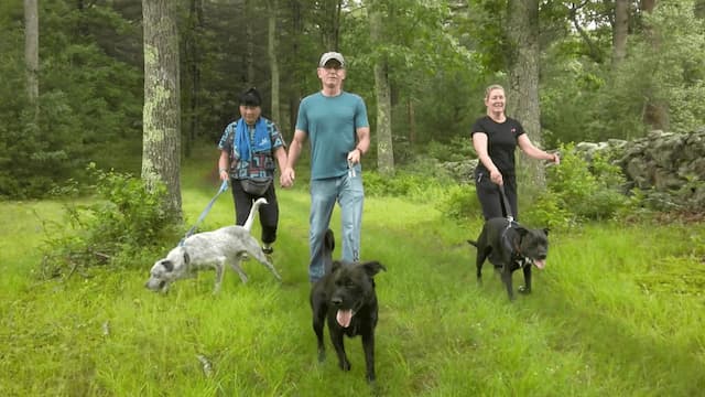 S02:E19 - Shultz's Legacy