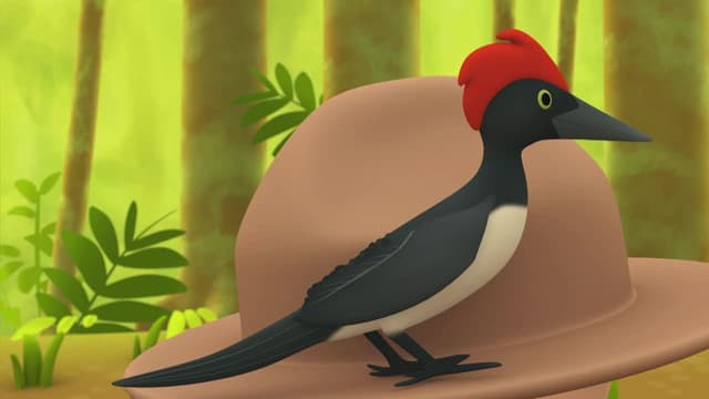 S01:E16 - White-Bellied Woodpecker