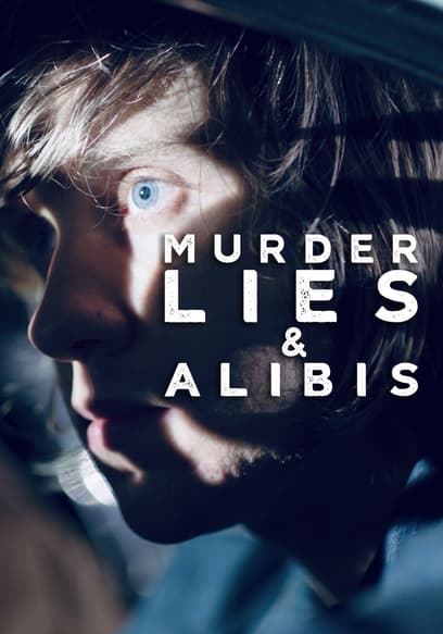 Murder, Lies & Alibis poster
