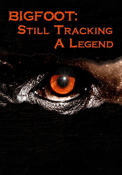 Bigfoot: Still Tracking a Legend