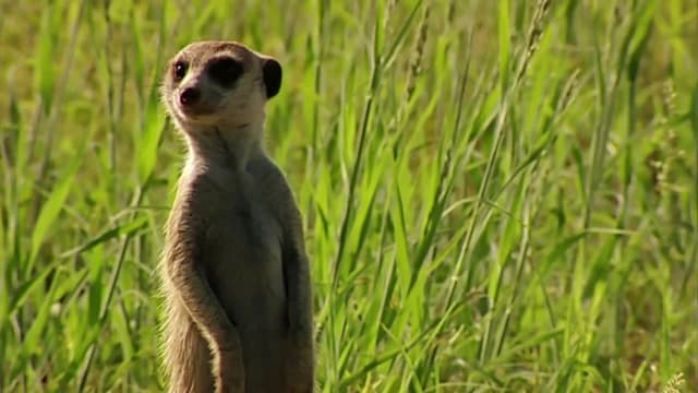 S02:E11 - Episode 11