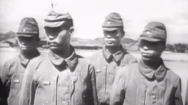 Watch Warbirds of World War II Streaming Online | Tubi Free TV
