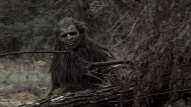 S03:E07 - Bigfoot