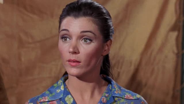 S01:E22 - Monkees at the Circus