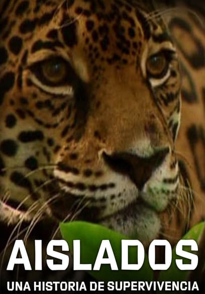 Aislados: una historia de supervivencia