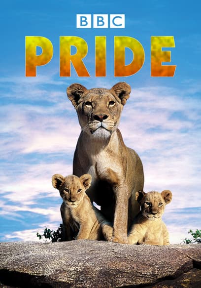 Pride