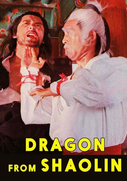 Dragon From Shaolin (Brawl Busters)