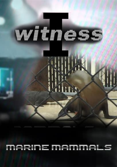 S01:E03 - I Witness: Marine Mammals Episode 3