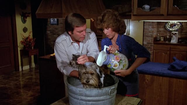 S01:E14 - Color Jennifer Dead