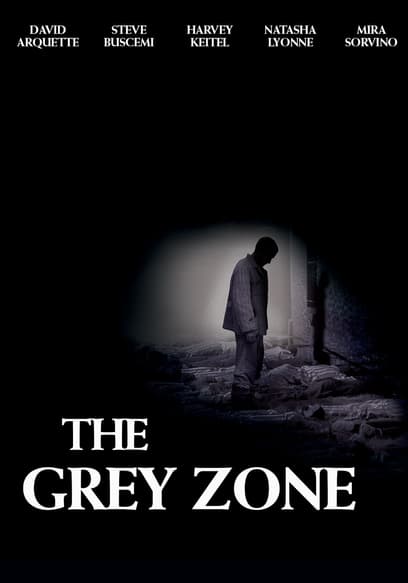 The Grey Zone