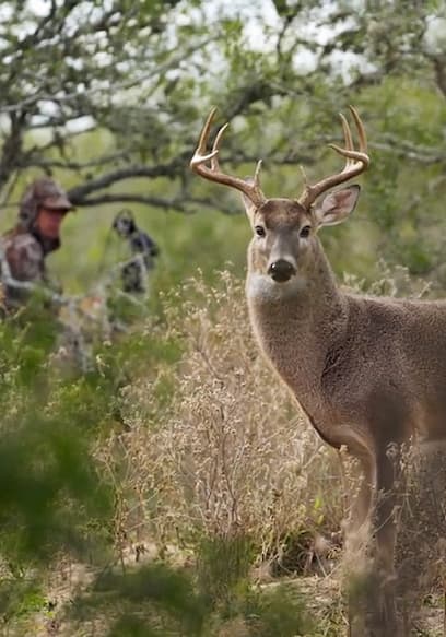 S01:E06 - Texas Whitetail poster