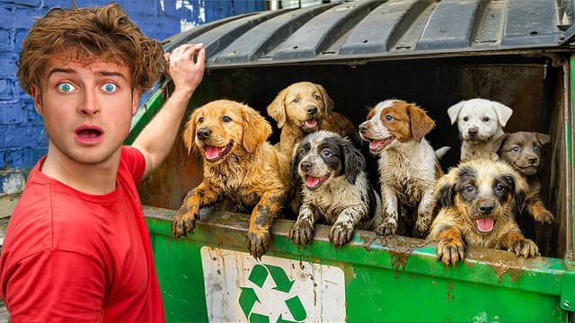 S01:E07 - Topper Guild Finds 10 Lost Puppies in a Dumpster!