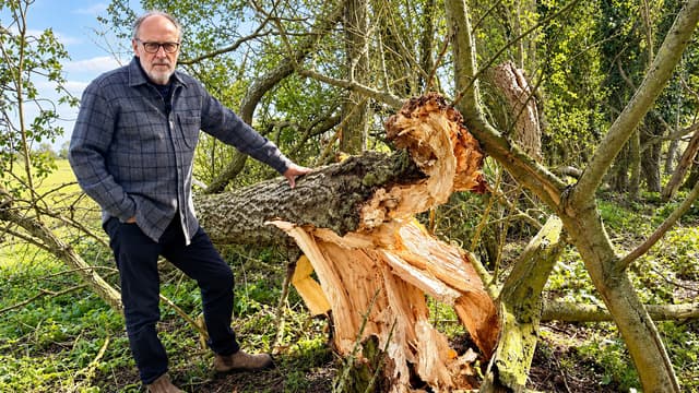 S01:E13 - Saving £10,000 as Storm Damage Hits the Farm