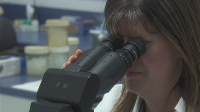 S04:E17 - The Bedroom Basher