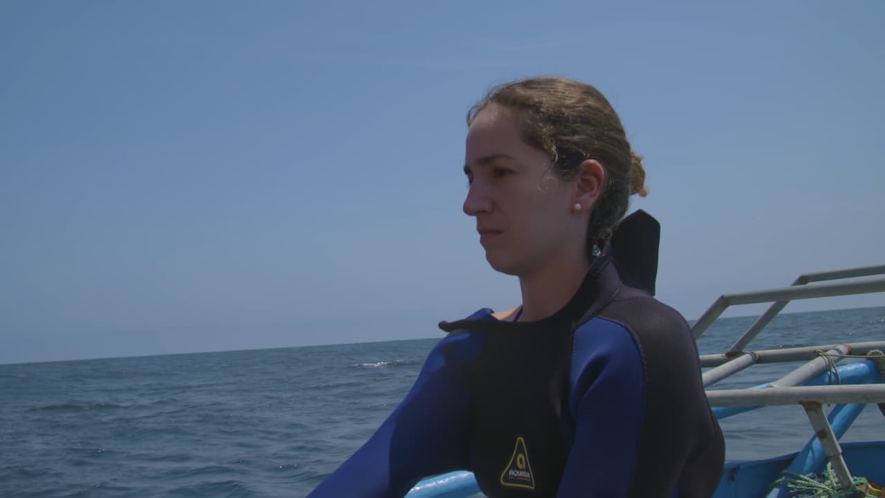Watch Eco-Heroines