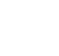 A Life Not to Follow