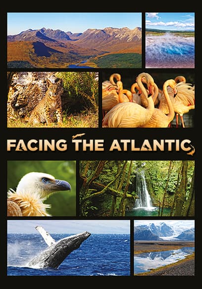 Facing the Atlantic poster