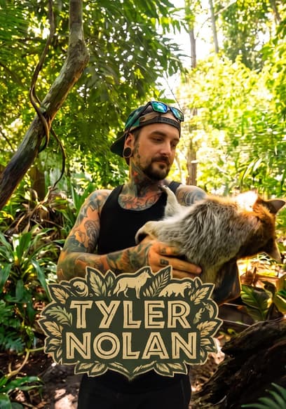 Tyler Nolan