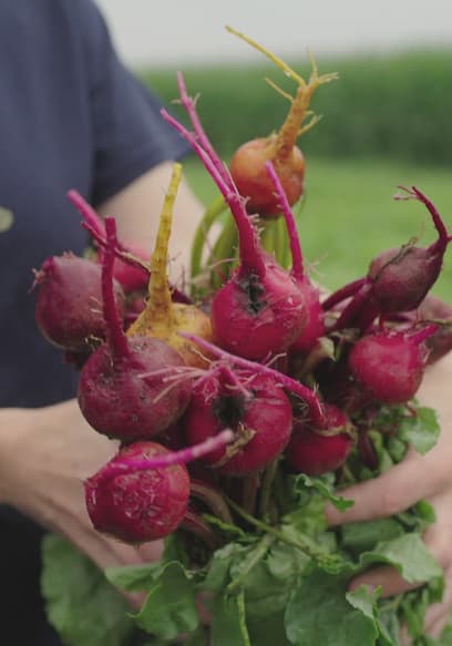 Póster de S01:E01 - Beets with Emma Bengtsson