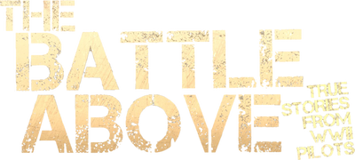 The Battle Above: True Stories From WWII Pilots