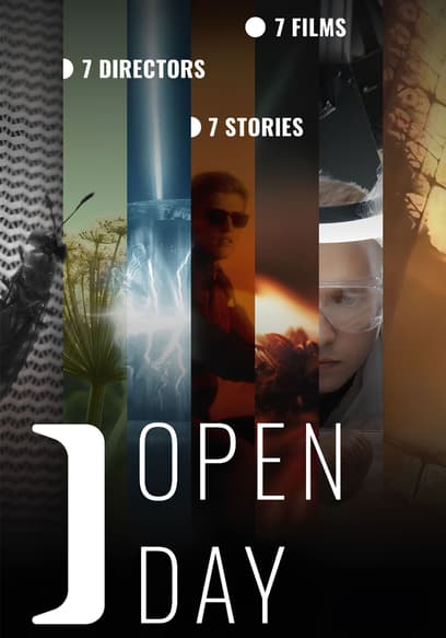Open Day poster