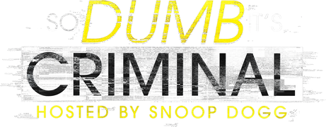 So Dumb It's Criminal