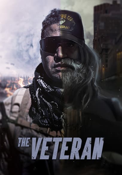 The Veteran poster