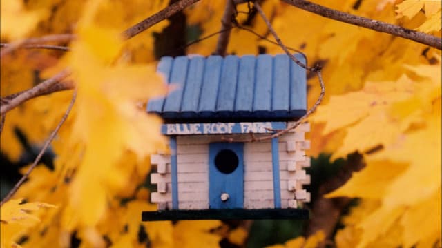 S05:E13 - Life in a Landscape