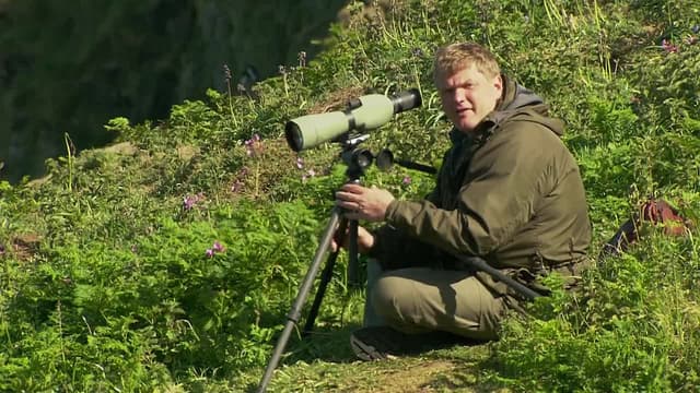 S02:E02 - Skomer Island: Wales