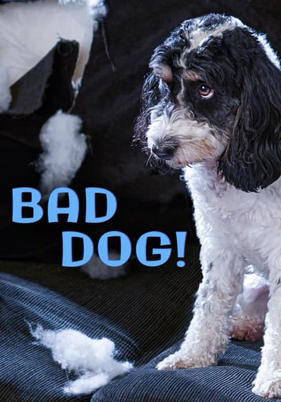 S01:E02 - Bad to the Bone