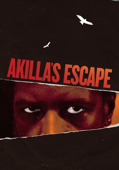 Akilla's Escape