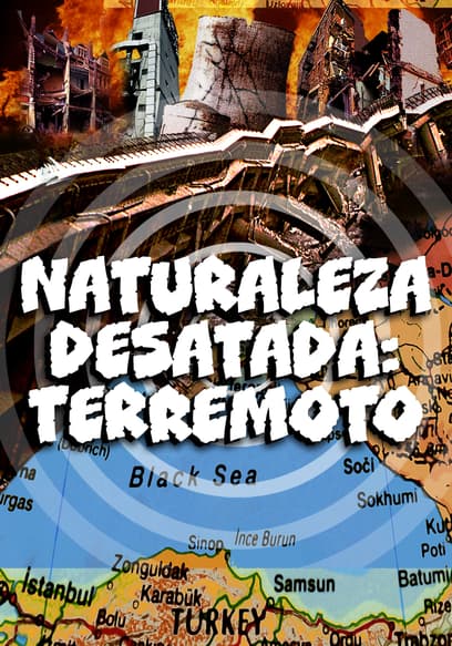 Naturaleza desatada: terremoto (Doblado) poster