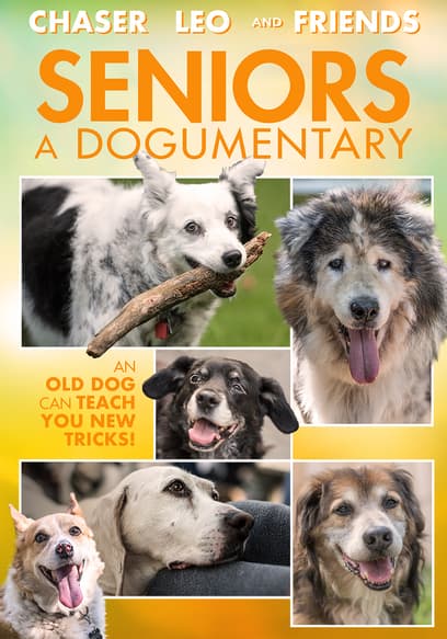 Seniors: A Dogumentary