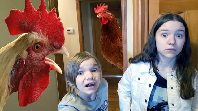 S01:E07 - Chicken Invasion! Chased by a Chicken Marathon