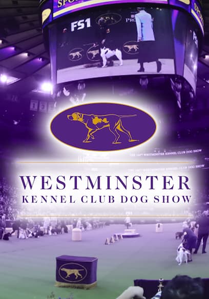 The Westminster Kennel Club Dog Show