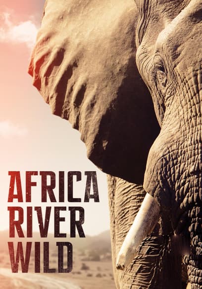 Africa River Wild