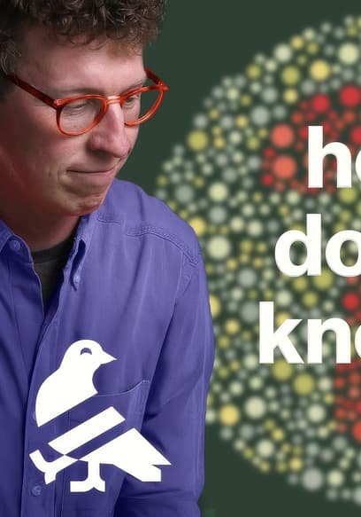 S01:E01 - Dog Vision Explained poster