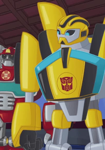 S01:E18 - Bumblebee to the Rescue poster