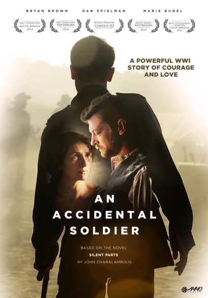 An Accidental Soldier