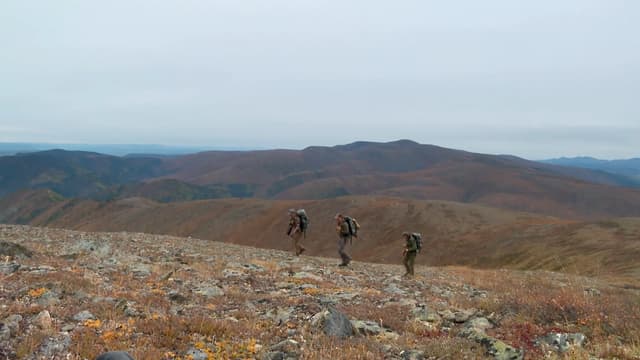 S07:E15 - Forty Mile Caribou: Part 2