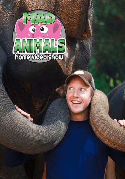 Mad Animals