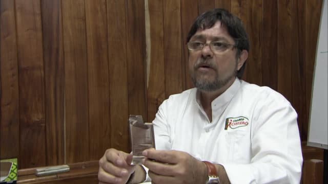 S09:E19 - Chewing Gum and More