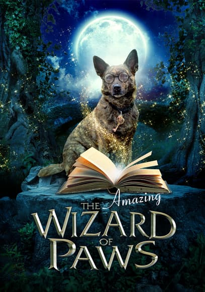 The Amazing Wizard of Paws