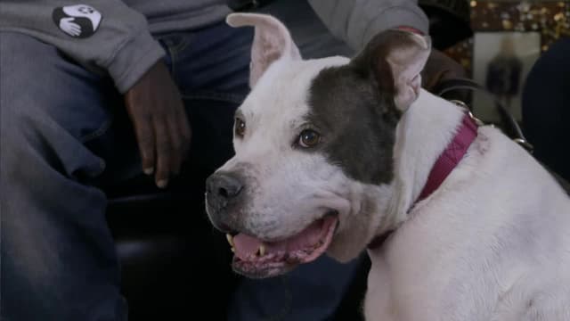 S12:E10 - From the Ashes