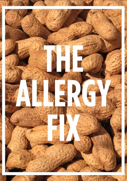 The Allergy Fix
