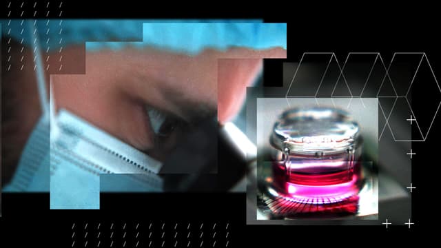 S01:E02 - Can Living Human Brain Cells Power AI?