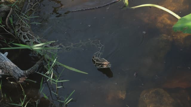 S04:E10 - Full Assault