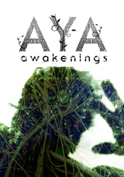Aya: Awakenings