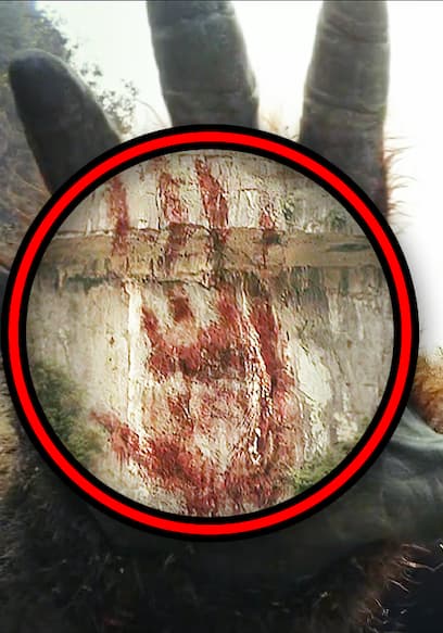 S01:E47 - Kong Skull Island (2017) Breakdown! Easter Eggs You Missed | Godzilla Kong Rewatch poster